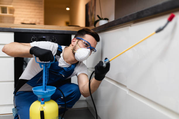 Reliable Pen Mar, PA Pest Control Solutions