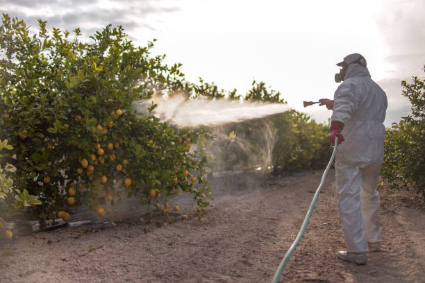 Best Mosquito Control Services  in Pen Mar, PA
